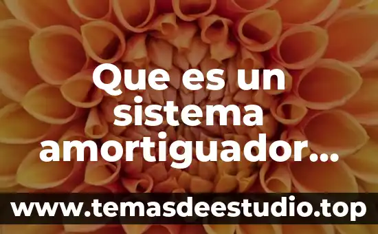 Qué es el sistema monetario 3 Que es un sistema amortiguador en el organismo humano