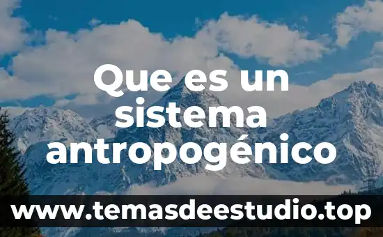 Que es el concepto de sistema 6 Que es un sistema antropogénico