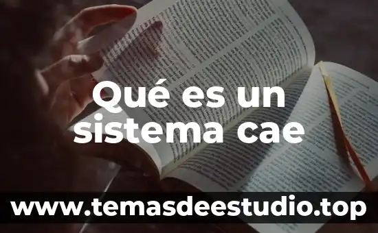 Que es el sistema compuesto 7 Qué es un sistema cae