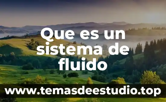 Que es sistema project 3 Que es un sistema de fluido