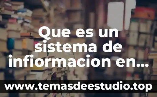 Qué es el sistema monetario 4 Que es un sistema de infiormacion en cualquier organizacion