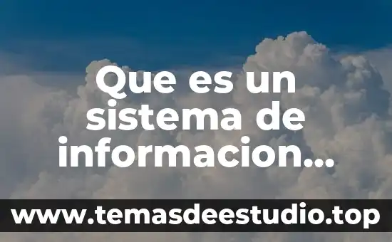 Que es un sistema de informacion anivelmdirectivo
