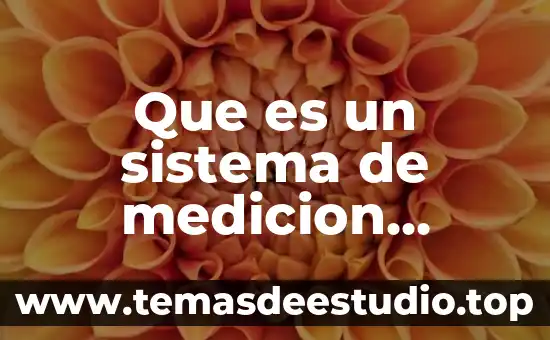 Que es un sistema de medicion basica