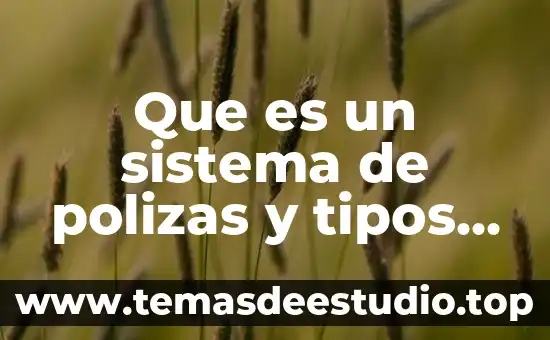 Qué es icono concepto 7 Que es un sistema de polizas y tipos de polizas