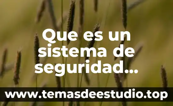 Que es una cabina de seguridad 4 Que es un sistema de seguridad domótico