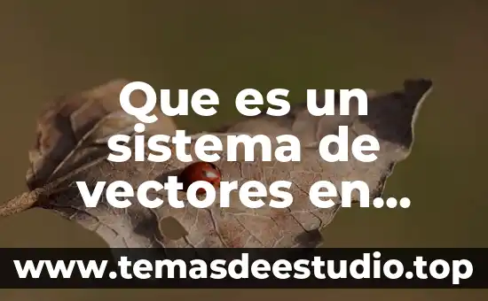 Que es la suma de vectores fisica 4 Que es un sistema de vectores en fisica