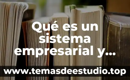 Qué es eemq enfermería 3 Qué es un sistema empresarial y beneficios