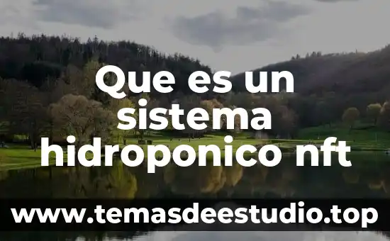 Que es el sistema nacional de monitoreo forestal 8 Que es un sistema hidroponico nft