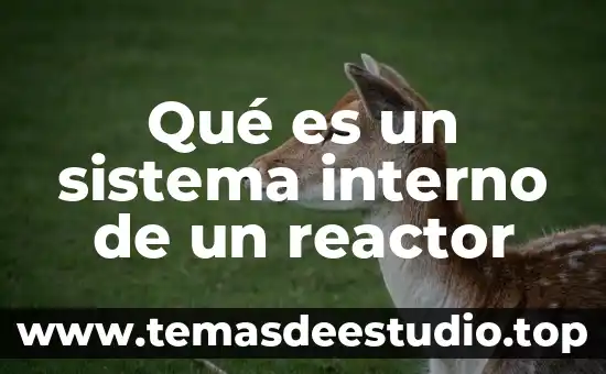 Que es sistema project 5 Qué es un sistema interno de un reactor