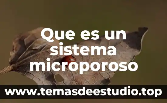 Que es empujar el sistema 4 Que es un sistema microporoso