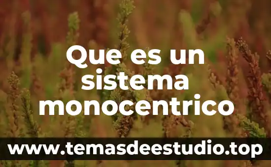 Que es el sistema compuesto 6 Que es un sistema monocentrico