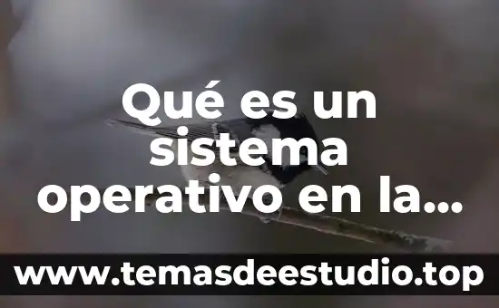 Que es una virtualizacion de sistema operativo 6 Qué es un sistema operativo en la red
