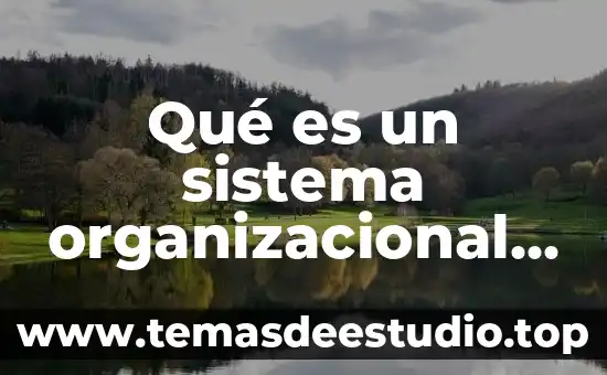 Que es el significado en la psicologia organizacional 8 Qué es un sistema organizacional informático