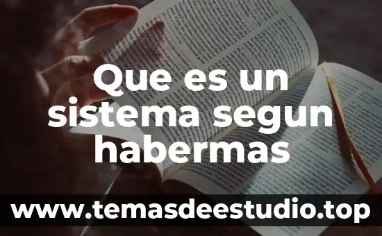 Que es la razonamiento instrumental segun jurgen habermas 4 Que es un sistema segun habermas