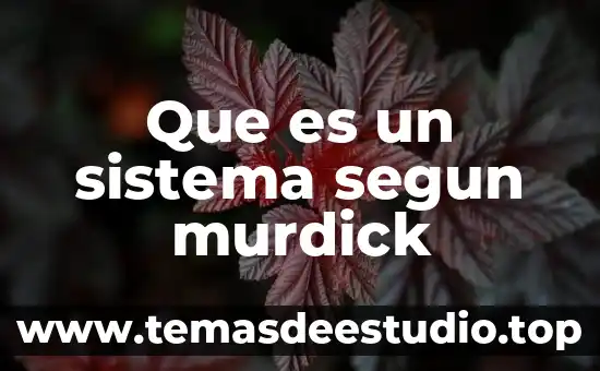 Que es un sistema segun murdick