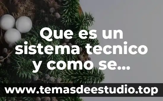 Que es un tecnico de software 8 Que es un sistema tecnico y como se forma