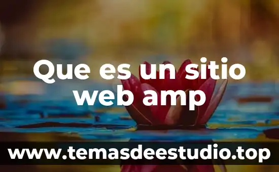Que es analisis sensible del sitio 3 Que es un sitio web amp