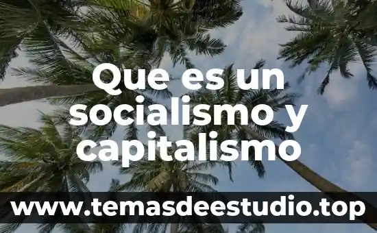 Que es un socialismo y capitalismo