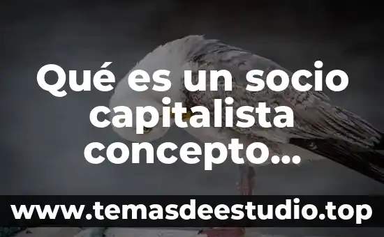 Que es la escala de valores concepto 7 Qué es un socio capitalista concepto wikipedia