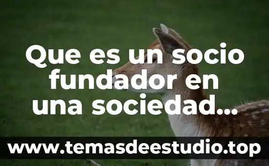 Que es una sociedad anonima bursatil de capital variable 6 Que es un socio fundador en una sociedad anonima