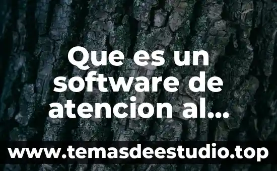 Qué es la demanda de atención en la historia social 5 Que es un software de atencion al cliente
