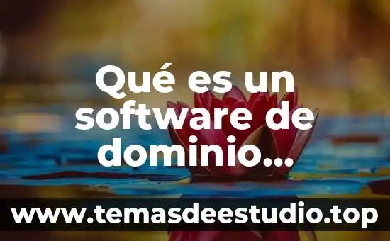 Que es el público asistente 3 Qué es un software de dominio público
