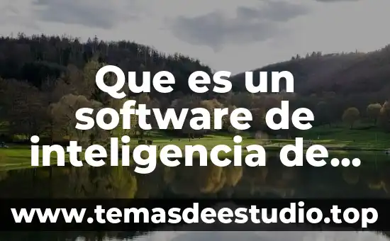 Que es mas importante la inteligencia o el sentido comun 7 Que es un software de inteligencia de negocios