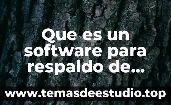 Qué es método de respaldo bases de datos slideshare 4 Que es un software para respaldo de informacion