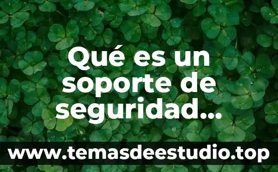 Qué es un soporte de seguridad informática