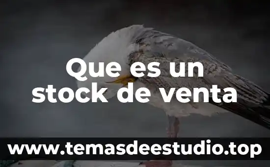 Que es indecencia significado 3 Que es un stock de venta
