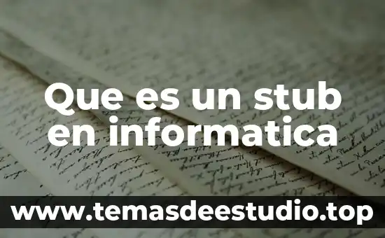 Que es un stub en informatica