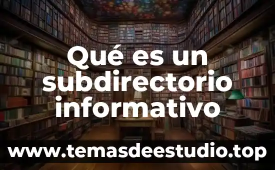 Qué es realidad social 8 Qué es un subdirectorio informativo