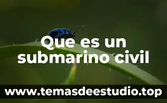 Qué es la sociedad com en informática 5 Que es un submarino civil