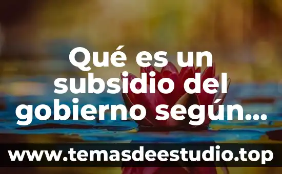 Que es el control social en criminologia por autores 8 Qué es un subsidio del gobierno según autores