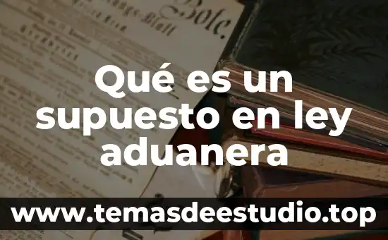Que es la actividad aduanera 6 Qué es un supuesto en ley aduanera