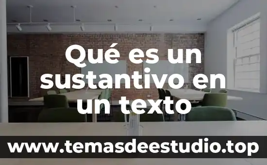 Qué es un sustantivo en un texto