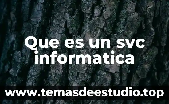 Que es el significado del nombre judith 4 Que es un svc informatica
