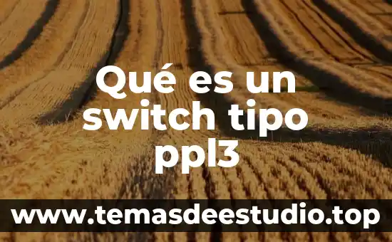 Que es marcha tipo ganges 8 Qué es un switch tipo ppl3
