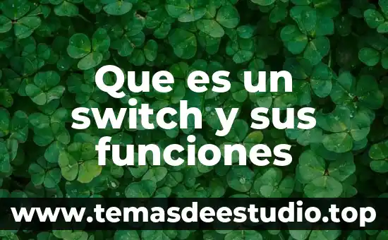 ¿Qué es mejor Nintendo Switch o PS Vita? 4 Que es un switch y sus funciones