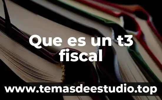 Qué es el número de identificación fiscal Facebook 4 Que es un t3 fiscal