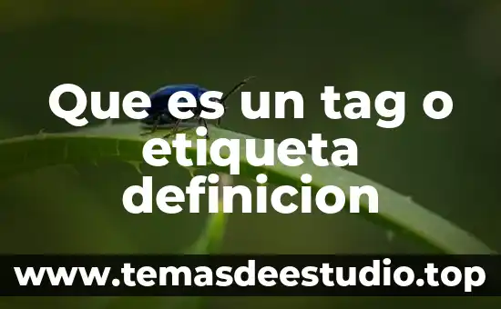 Definicion significado que es estremecer 5 Que es un tag o etiqueta definicion