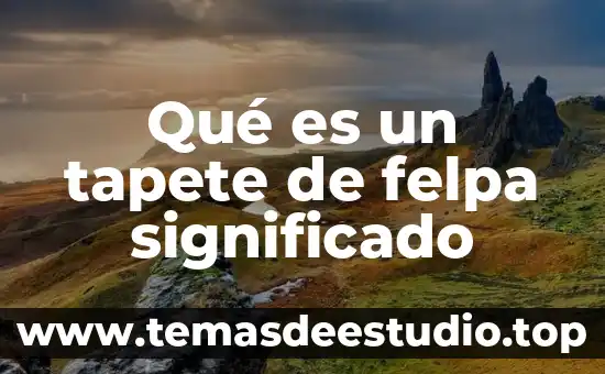Que es lacrar significado 7 Qué es un tapete de felpa significado