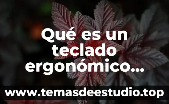 Que es un teclado opto mecanico 5 Qué es un teclado ergonómico concepto