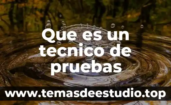 Que es tecnico e contabilidad uaem 8 Que es un tecnico de pruebas