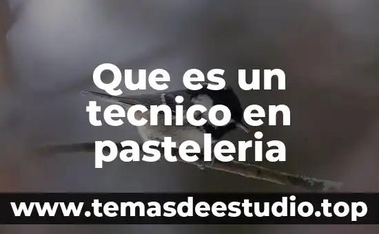 Que es pasteleria organica 5 Que es un tecnico en pasteleria