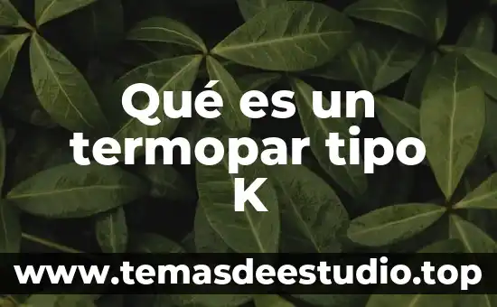 Qué es una planta o flor 4 Qué es un termopar tipo K
