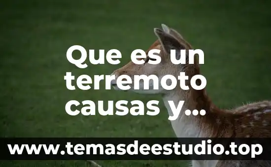 Que es en los terremoto el movimiento trepidatorio 4 Que es un terremoto causas y prevencion