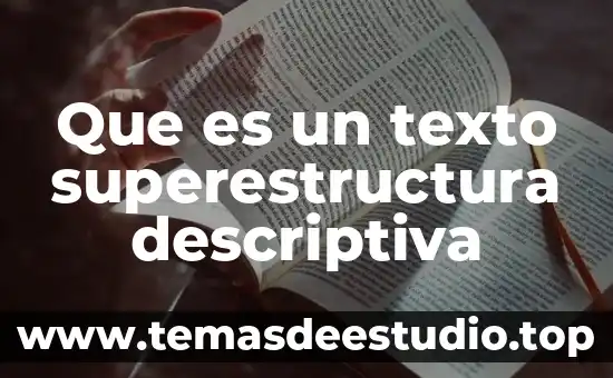 Conclusión personal sobre que es la estadística descriptiva 3 Que es un texto superestructura descriptiva