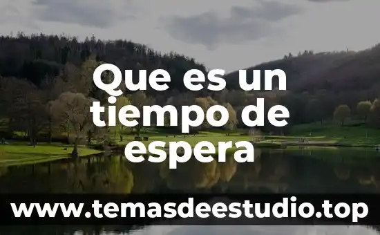 Que es lo de tiempo y movimiento de taylor 5 Que es un tiempo de espera