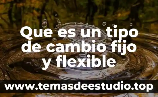 Que es disco flexible significado 7 Que es un tipo de cambio fijo y flexible